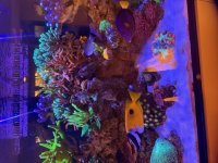 IMG_1465.jpg