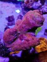 20250730_121841.jpg