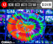11.png
