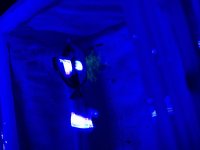 IMG_0244.jpeg