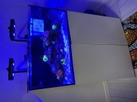IMG_0243.jpeg