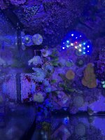 IMG_0957.JPEG
