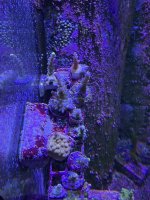 IMG_0958.JPEG