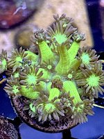 IMG_2731.jpeg
