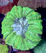 IMG_2712.jpeg