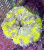 IMG_2707.jpeg