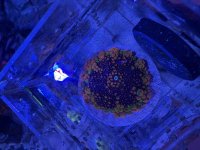 IMG_3108.jpeg
