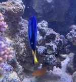 IMG_2699.jpeg