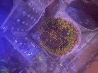 IMG_3123.jpeg