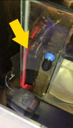 hog on sump glass.jpg