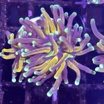 IMG_2431.jpeg