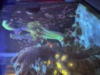 IMG_0079.jpeg