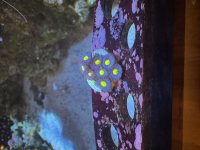 IMG_0080.jpeg