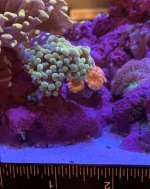 IMG_6347.jpeg