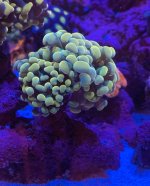 IMG_6322.jpeg