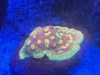IMG_2848.jpeg