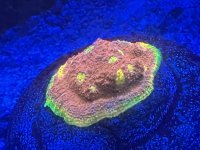 IMG_2845.jpeg
