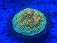 IMG_2844.jpeg