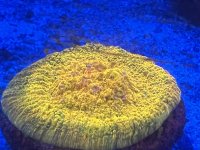 IMG_2843.jpeg