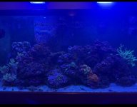 IMG_6320.jpeg