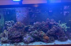 IMG_6319.jpeg