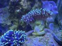 IMG_2862.jpeg