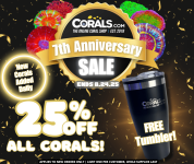 Anniversary Sale 2025(2).png