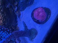 IMG_2735.jpeg