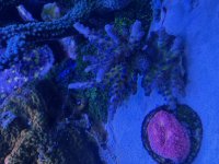 IMG_2737.jpeg