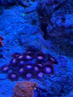 IMG_2808.jpeg