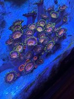 IMG_2806.jpeg