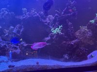 IMG_5314.jpeg