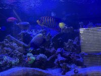 IMG_5330.jpeg