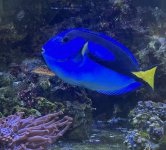 IMG_6709.jpeg