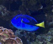 IMG_6715.jpeg
