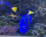 IMG_6706.jpeg