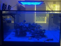 IMG_3129.jpeg
