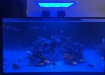 IMG_3130.jpeg