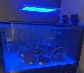 IMG_3131.jpeg