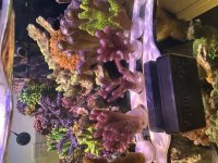 IMG_5669.jpeg