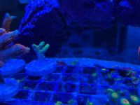 IMG_0584.jpeg