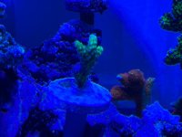 IMG_0580.jpeg