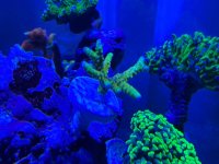 IMG_0579.jpeg