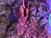 IMG_1770.jpg