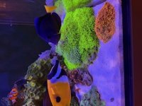 IMG_1768.jpg