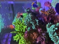 IMG_1766.jpg