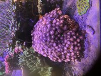 IMG_3538.JPG