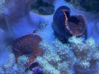 IMG_6360.jpeg