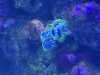 IMG_6359.jpeg