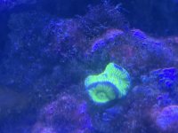 IMG_6358.jpeg